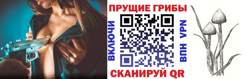Псилоцибиновые грибы Magic Shrooms Чистополь