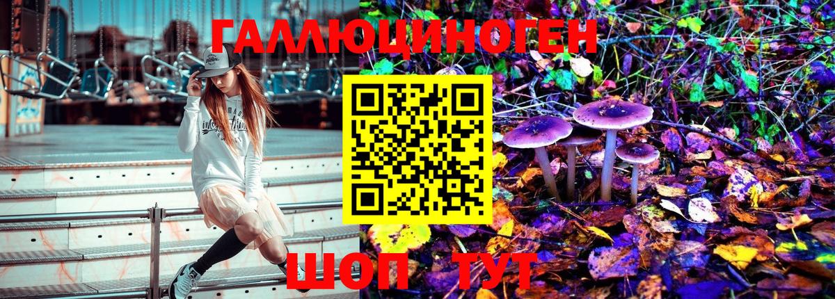 Псилоцибиновые грибы мухоморы Чистополь